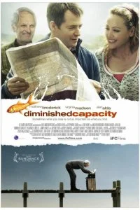 Постер к В одно ухо влетело (2008)